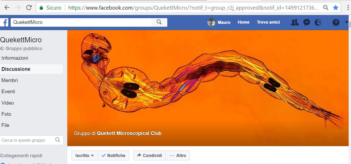 Didium sp attacca un Tardigrado! Possibile?